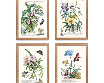 Vintage Botanical Butterfly Art Print Set, Antique Illustrations (Digital Download)-Set 1