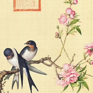 Birds / Antique Chinese birds painting by Giuseppe Castiglione (1688-1766), Italian Jesuit monk and missionary in China / Digital download