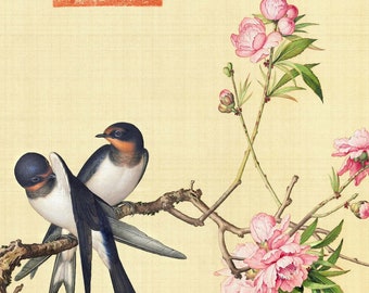 Birds / Antique Chinese birds painting by Giuseppe Castiglione (1688-1766), Italian Jesuit monk and missionary in China / Digital download