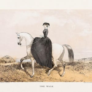 May include: An antique print titled "The Walk" depicts a person in a long black dress riding a white horse. The horse is walking on a dirt path, with a light-colored sky and distant buildings in the background. The print has a vintage aesthetic.