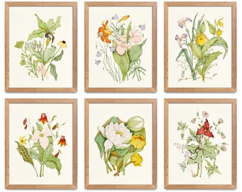 Wild flowers print set.  Antique flower illustrations (1868) / Botanical Illustrations. Digital download