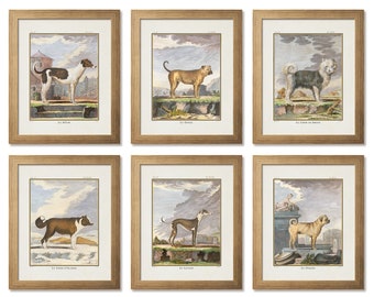 Vintage Dog Breeds Print Set: 1881 Antique Illustration (Digital Download)