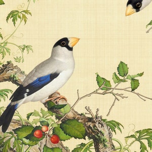 Könnte beinhalten: Ein weißer und blauer Vogel mit schwarzem Kopf sitzt auf einem Ast mit grünen Blättern und roten Beeren. Der Vogel hat einen gelben Schnabel und einen blauen Flügel.