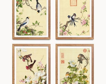 Antique Chinese Bird Paintings by Giuseppe Castiglione (Digital Download)