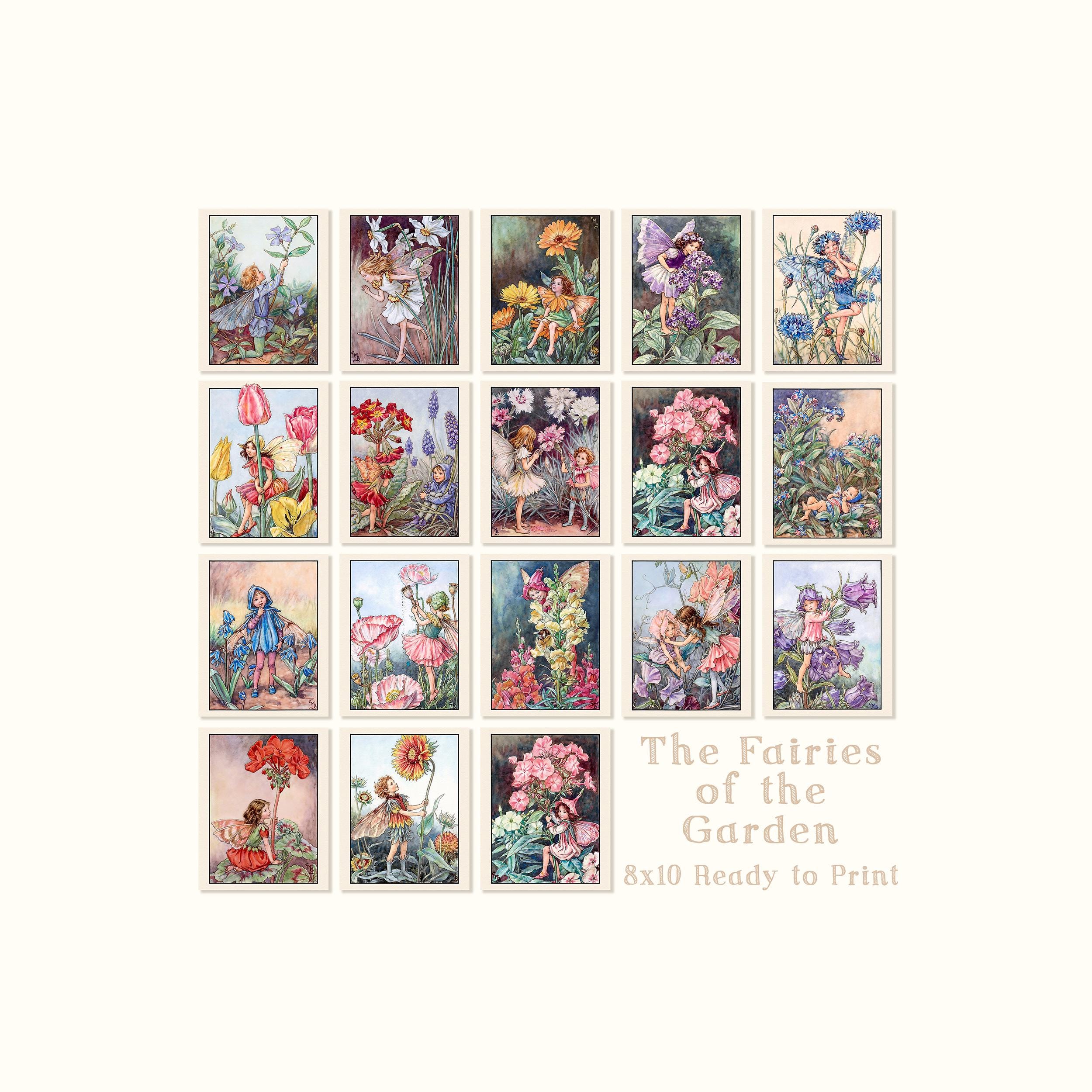 Cicely mary barker flower fairies - Etsy 日本