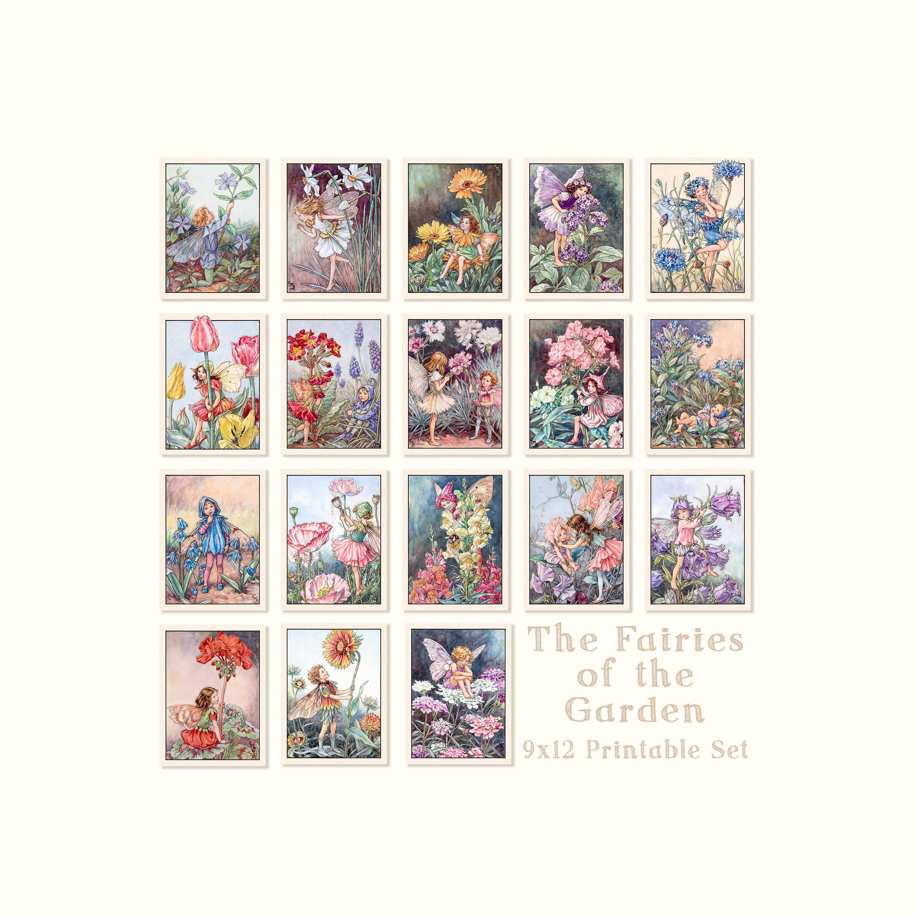 Cicely mary barker flower fairies - Etsy 日本