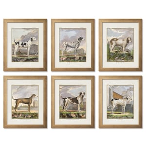 Vintage dogs print set #1. Dog breeds. Antique dog prints of the book: “Iconographia Zoologica”, 1881. Digital download