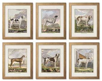 Antique Dog Breeds Print Set: 1881 Iconographia Zoologica (Digital Download)