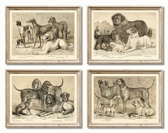 Vintage Dog Breed Prints: Antique German Art (Digital Download)
