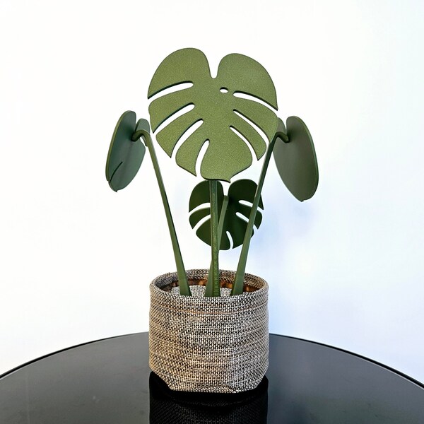 Monstera Coaster Plant, Coaster Plant with Magnets, Monstera plant, Monstera coaster, Split leaf Philodendron coasters