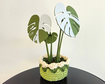 Monstera Coaster Plant, Coaster Plant met magneten, Monstera plant, Monstera achtbaan, Split leaf Philodendron onderzetters