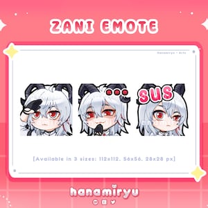 Zani Emotes Set, Cute Chibi Wuthering Waves Roger / Smirk / Sus Emoji, WuWa Kawaii / Premade, For Streamer Twitch Youtube Discord