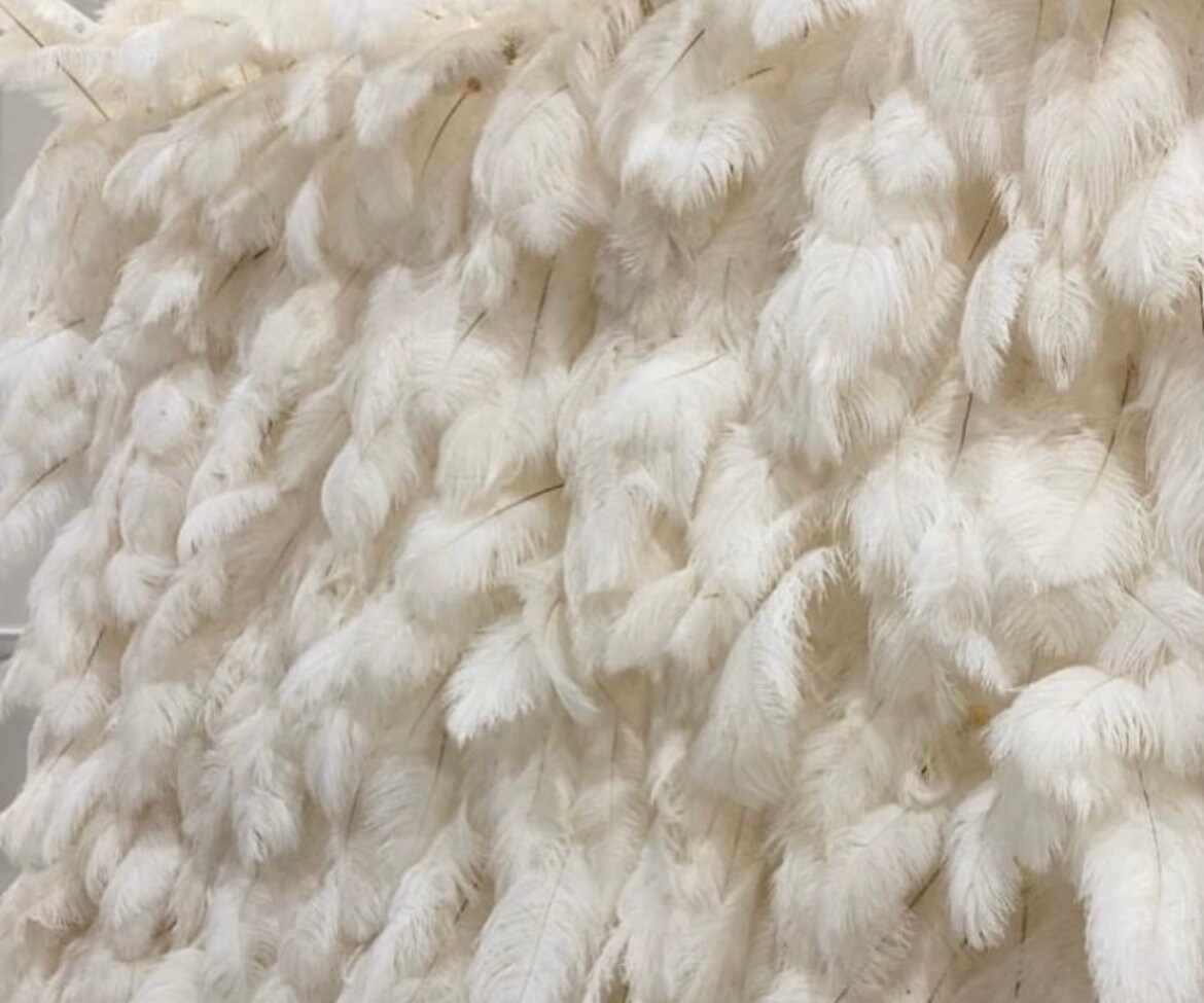 FEATHER BACKDROP to Hire Backdrop Weddings Events Etsy UK