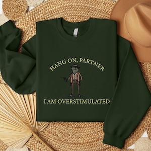 Hold On Partner I'm Overstimulated Embroidered Sweatshirt, Cowboy Frog Unhinged Shirt, Weirdcore Gen Z Crewneck Sweatshirt