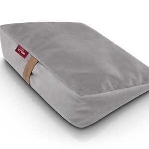 buckwheat wedge pillow