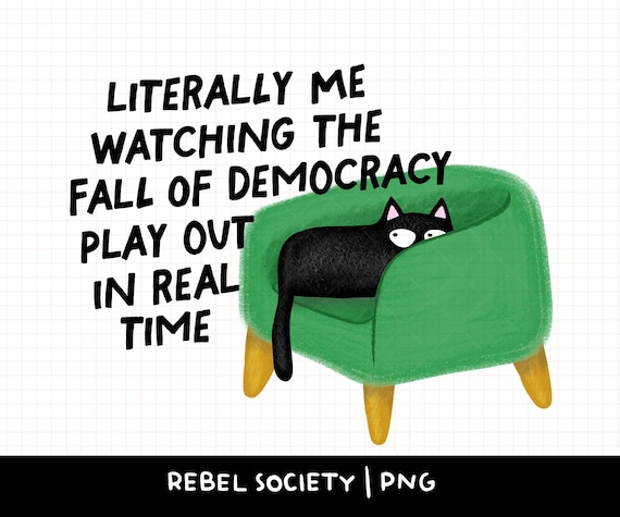 Fall of Democracy PNG Social Justice Snarky Black Cat It's Ok to Punch Nazis Social Justice Anti Racism Fascism Trump Elon Musk FAFO