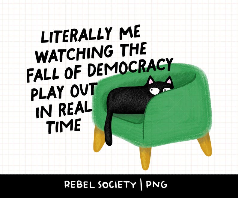 May include: Illustration of a black cat peeking over the edge of a green armchair. The text reads "LITERALLY ME WATCHING THE FALL OF DEMOCRACY PLAY OUT IN REAL TIME." The image has a white background with a grid pattern.