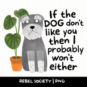 May include: A digital illustration shows a grey Schnauzer dog with a sad expression beside a potted plant. The text reads, "If the DOG don't like you then I probably won't either." The bottom of the image has the text "REBEL SOCIETY | PNG".