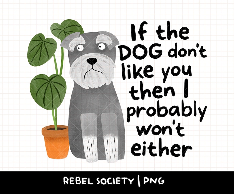 May include: A digital illustration shows a grey Schnauzer dog with a sad expression beside a potted plant. The text reads, "If the DOG don't like you then I probably won't either." The bottom of the image has the text "REBEL SOCIETY | PNG".