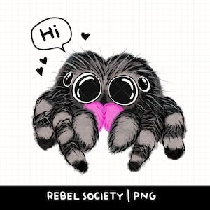 May include: A cartoon illustration of two jumping spiders with large black eyes and pink hearts. The spiders are facing each other and have a speech bubble above them that says "Hi".