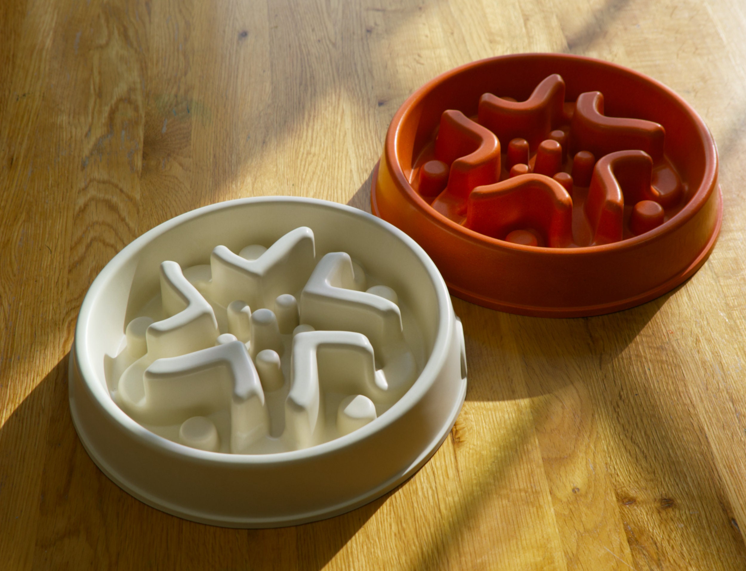 Bamboo Slow Feeder Bowl For Dogs Designed By Vets Etsy