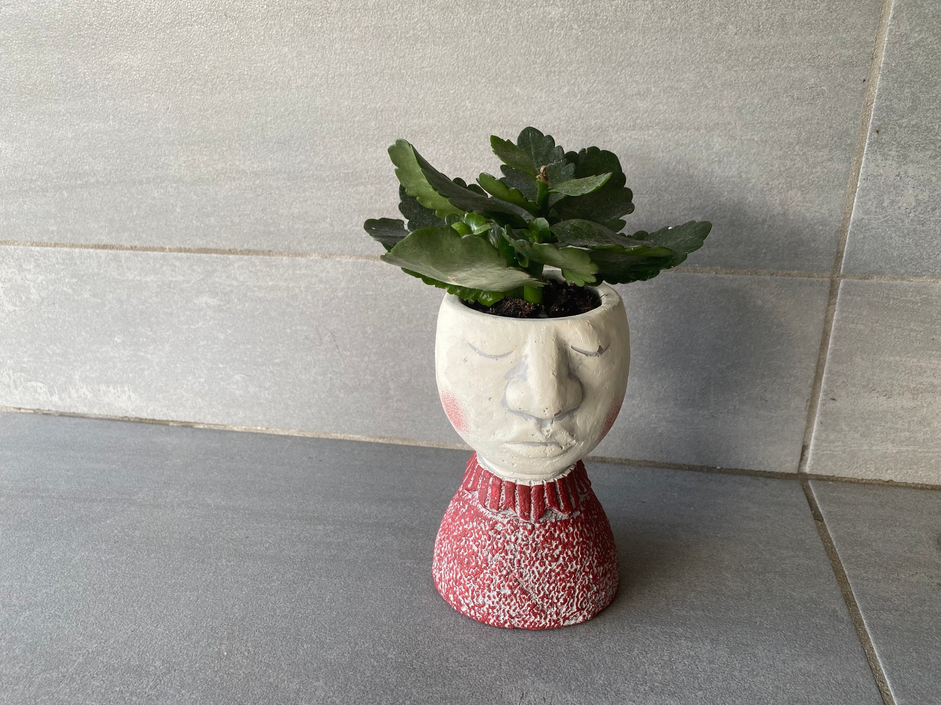 Vases Plantes Pour Décoration Intérieur, Extérieur, Vase Tete, Buste, Visage , Vase en Ciment