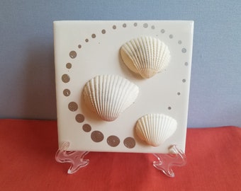 Weiße Muscheln mit metallisch silberfarbenem Polka Dot Orbiting Circle Design auf einer 4 "x 4" Fliese