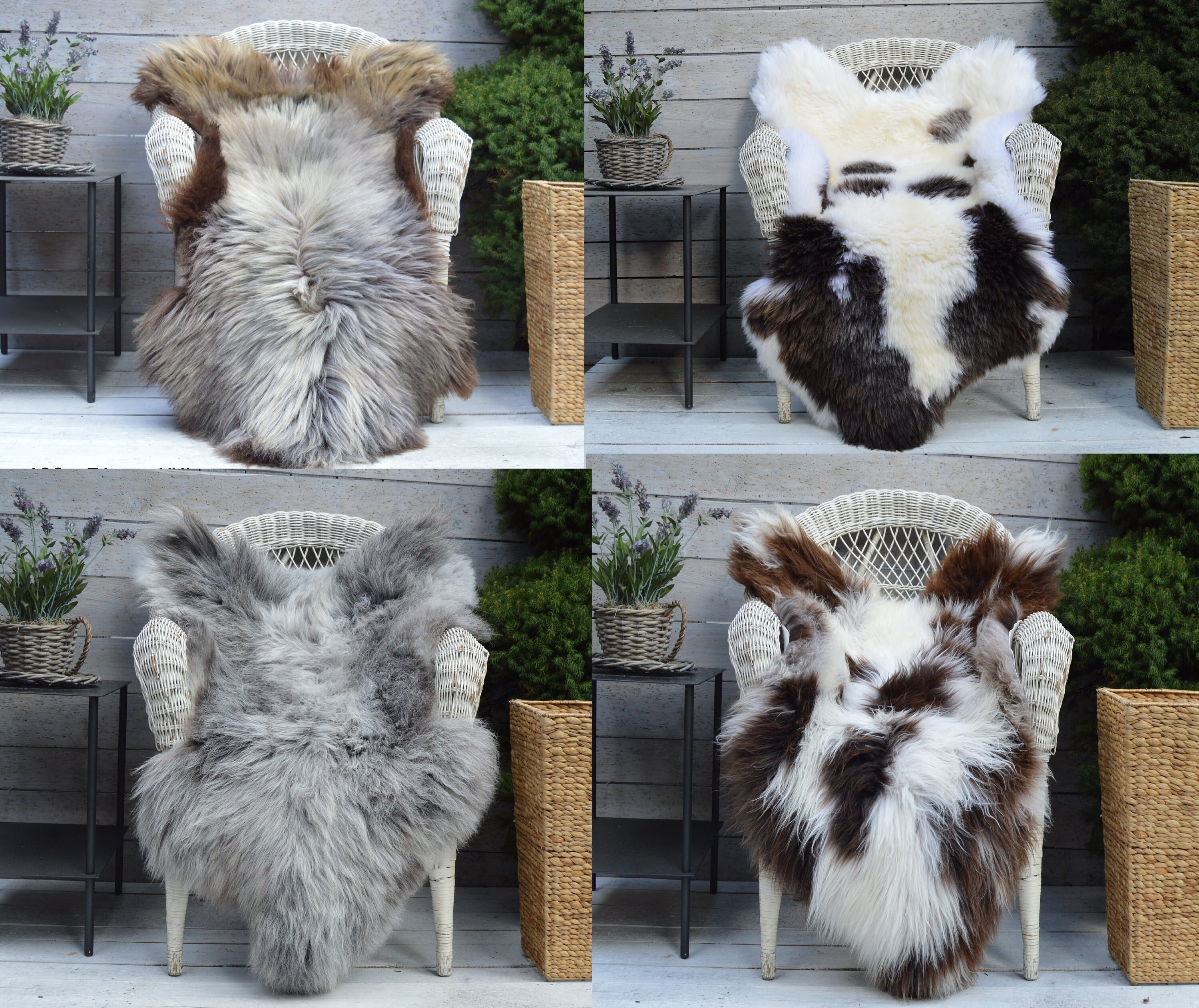 Yeti Sheepskin Rug Throw Hide Very Rare Breed 100% Genuine Natural Co…