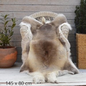 Puede incluir: Una piel de reno natural y suave con un degradado de tonos de pelaje beige, marrón y blanco. La piel tiene una forma orgánica irregular con una textura densa y afelpada. Las dimensiones están impresas como 145 x 80 cm.