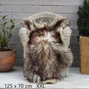 Puede incluir: Una piel de oveja de pelo largo con una mezcla de tonos de pelaje blanco, crema y marrón oscuro. La piel está colocada sobre una silla de mimbre blanca e incluye el texto impreso 125 x 70 cm XXL en la parte inferior, indicando su tamaño.