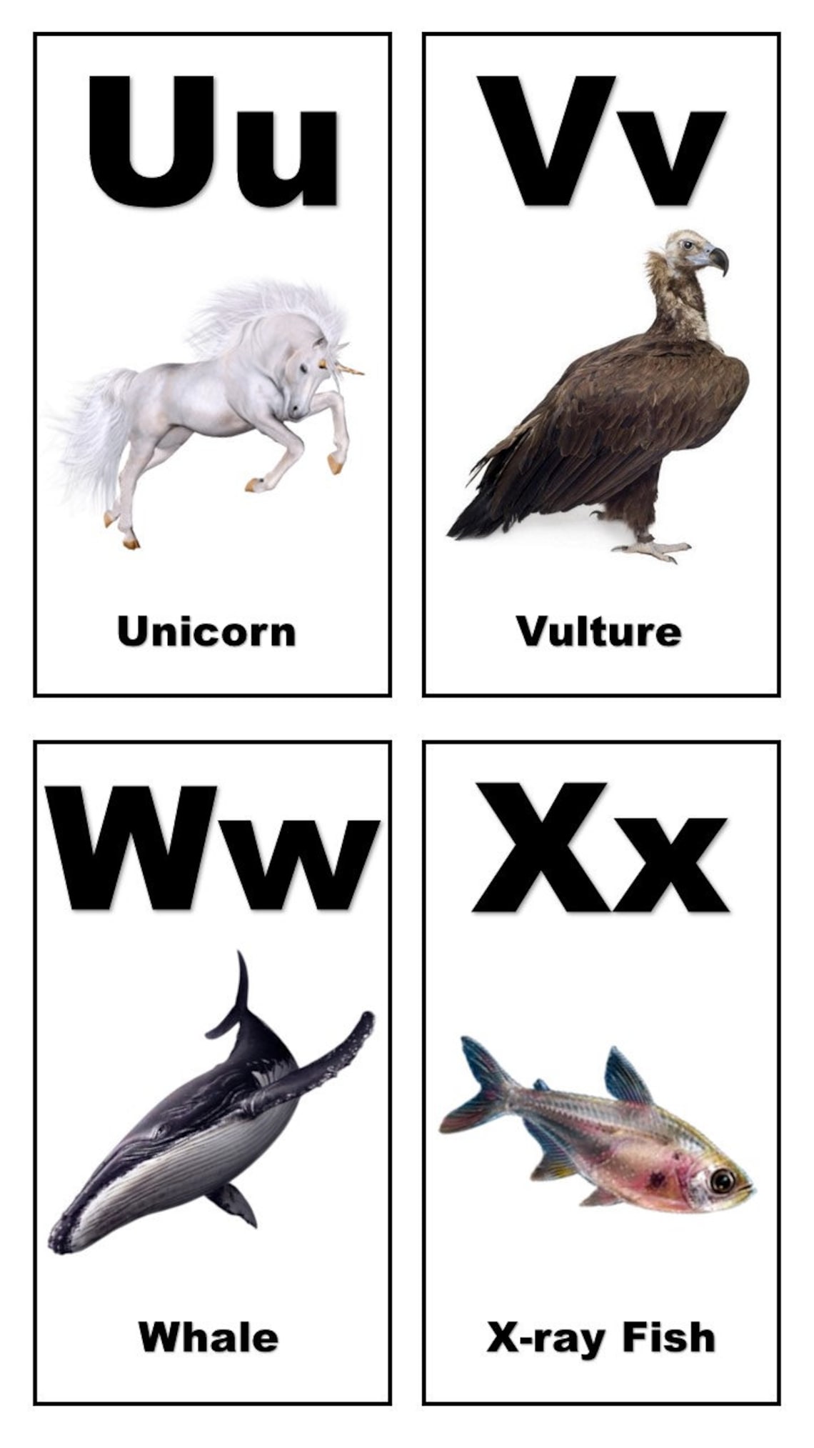Animal Alphabet Flash Cards Printable Etsy