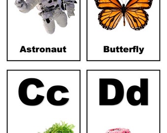 Alphabet Flash Cards - Printable