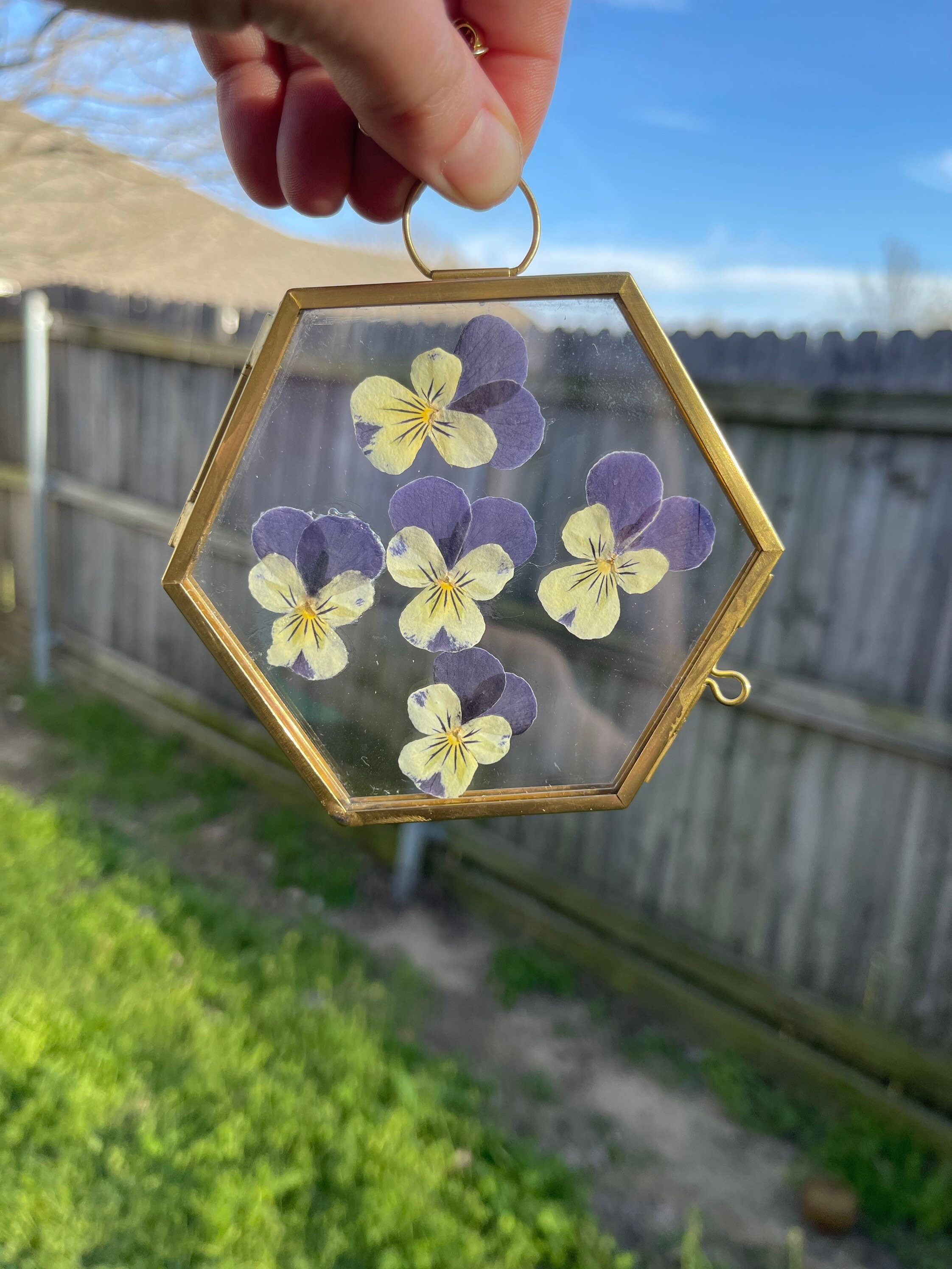 Dried flower arrangement real flowers framed framed florals Etsy