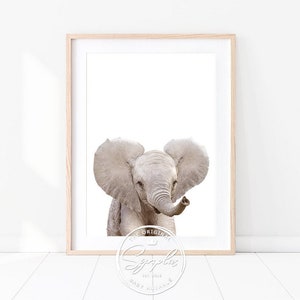 May include: A framed print featuring a baby elephant with large, open ears. The elephant is light gray, set against a white background. The frame is a light wood color. The print is labeled "The Original Supply Baby Animals".
