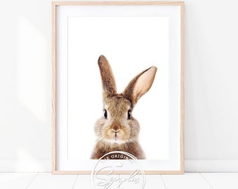 Bunny Print, Baby Rabbit Art Print, Baby Animals Art by Synplus, Woodland Animals, Nursery Wall Art, Nursery Decor, Baby Room Animal Prints