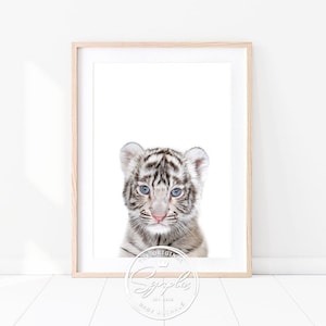 Baby White Tiger Print, Tiger Cub, Baby Animals Art Print by Synplus, Nursery Wall Art, Nursery Decor, Jungle Safari Animal, Kids Art Prints