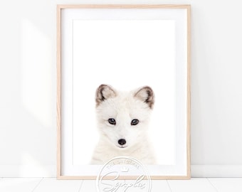 Baby Arctic Fox Print, Baby Fox Cub, Baby Animals Art Prints by Synplus, Nursery Wall Art, Nursery Decor, Baby Room Animal Print, Kids Art