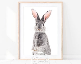 Woodland Bunny Print, Standing Baby Rabbit Art, Baby Animals Art Prints by Synplus, Nursery Wall Art, Nursery Decor, Baby Room Animal Prints