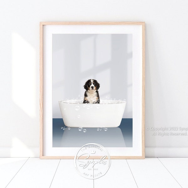 Bernese Mountain Puppy in Bathtub Print, Puppy Taking a Bath, Navy Blue Bathroom Art, Contemporary Style, Animal in Bathtub Art by Synplus