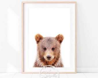 Baby Bear Print, Bear Cub Art, Baby Animals Art Print by Synplus, Nursery Wall Art, Woodland Nursery Decor, Baby Room Animal Print, Kids Art