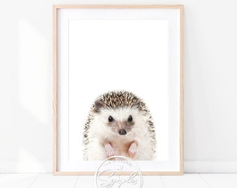 Baby Hedgehog Print, Baby Animals Art Prints by Synplus, Woodland Animals, Nursery Wall Art, Nursery Decor, Baby Room Animal Print, Kids Art