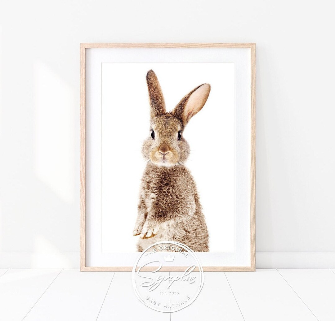 Bunny Print, Standing Baby Rabbit Art, Baby Animals Art Prints by Synplus, Nursery Wall Art ...