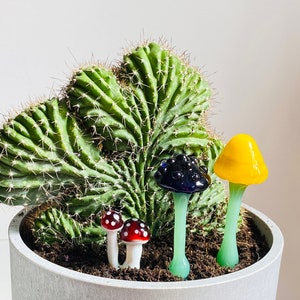 Triple Glass Mushroom Plant Stakes Set-3