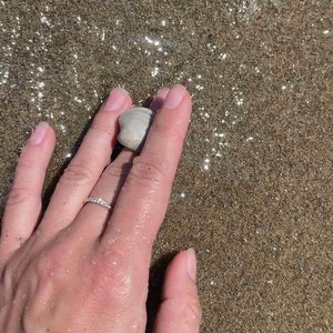 May include: A hand holding a small, white seashell on a sandy beach. The sand is wet and glistening in the sunlight.