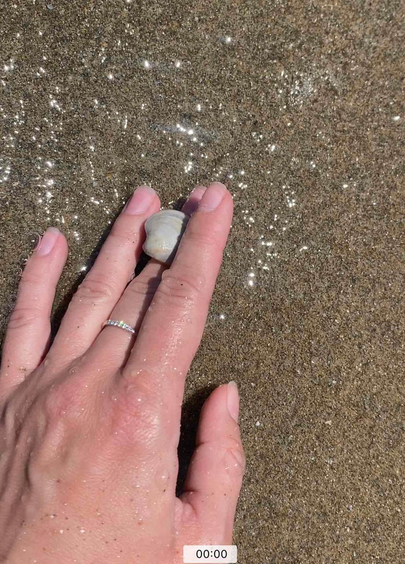 May include: A hand holding a small, white seashell on a sandy beach. The sand is wet and glistening in the sunlight.