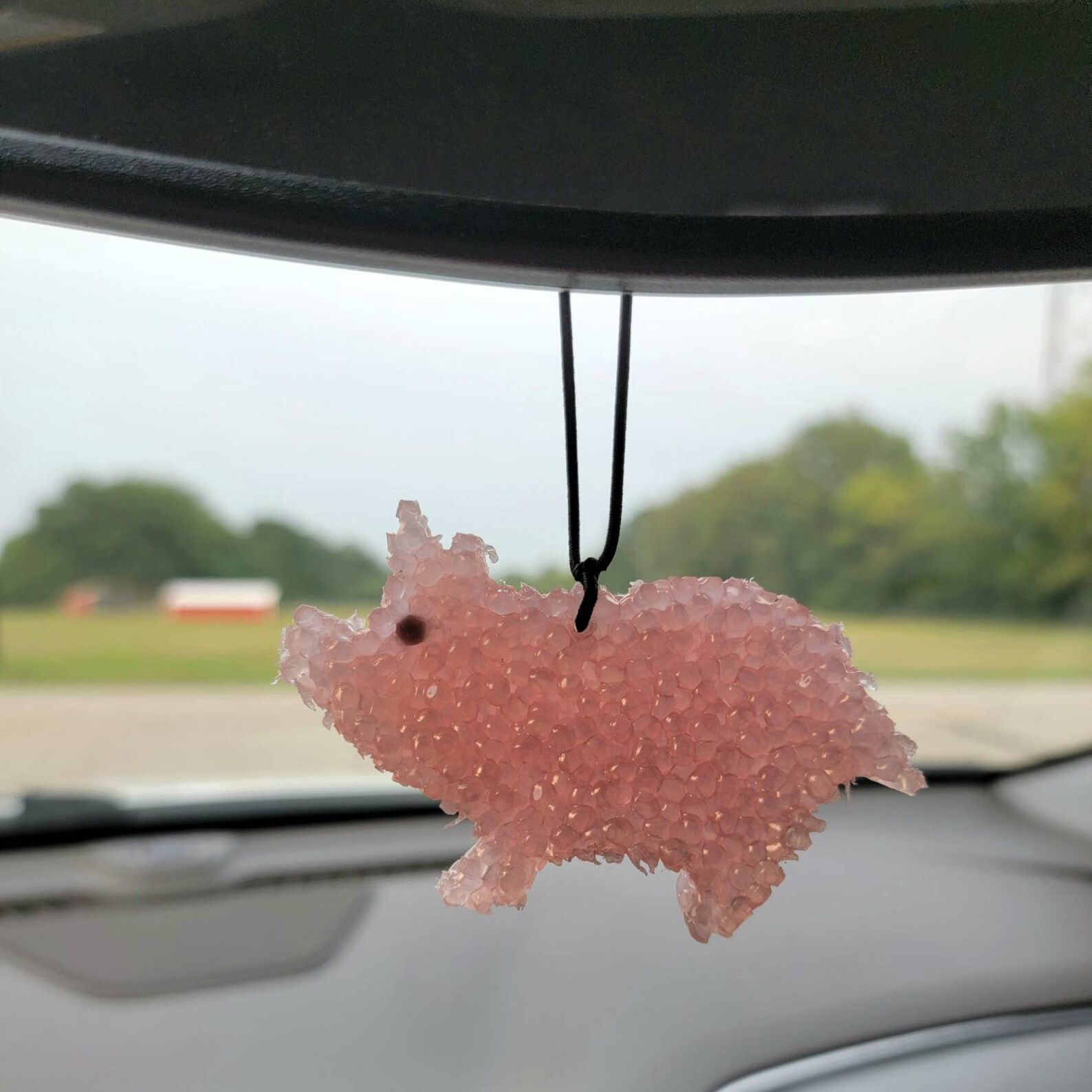 Pig Car Air Fresheners / Animal Freshie / Car Candle / Farm Etsy