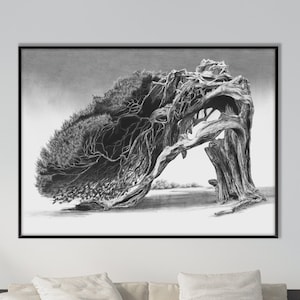 May include: A black and white pencil drawing of a tree with branches that are bent and twisted by the wind. The tree is framed in a black frame and hangs on a white wall above a white sofa.