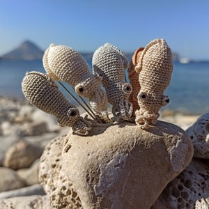 Puede incluir: Cinco figuritas de pulpo de crochet en varios tonos de beige y marrón están posadas sobre una gran roca gris. Los pulpos están mirando a la cámara, con sus tentáculos enroscados alrededor de la roca.