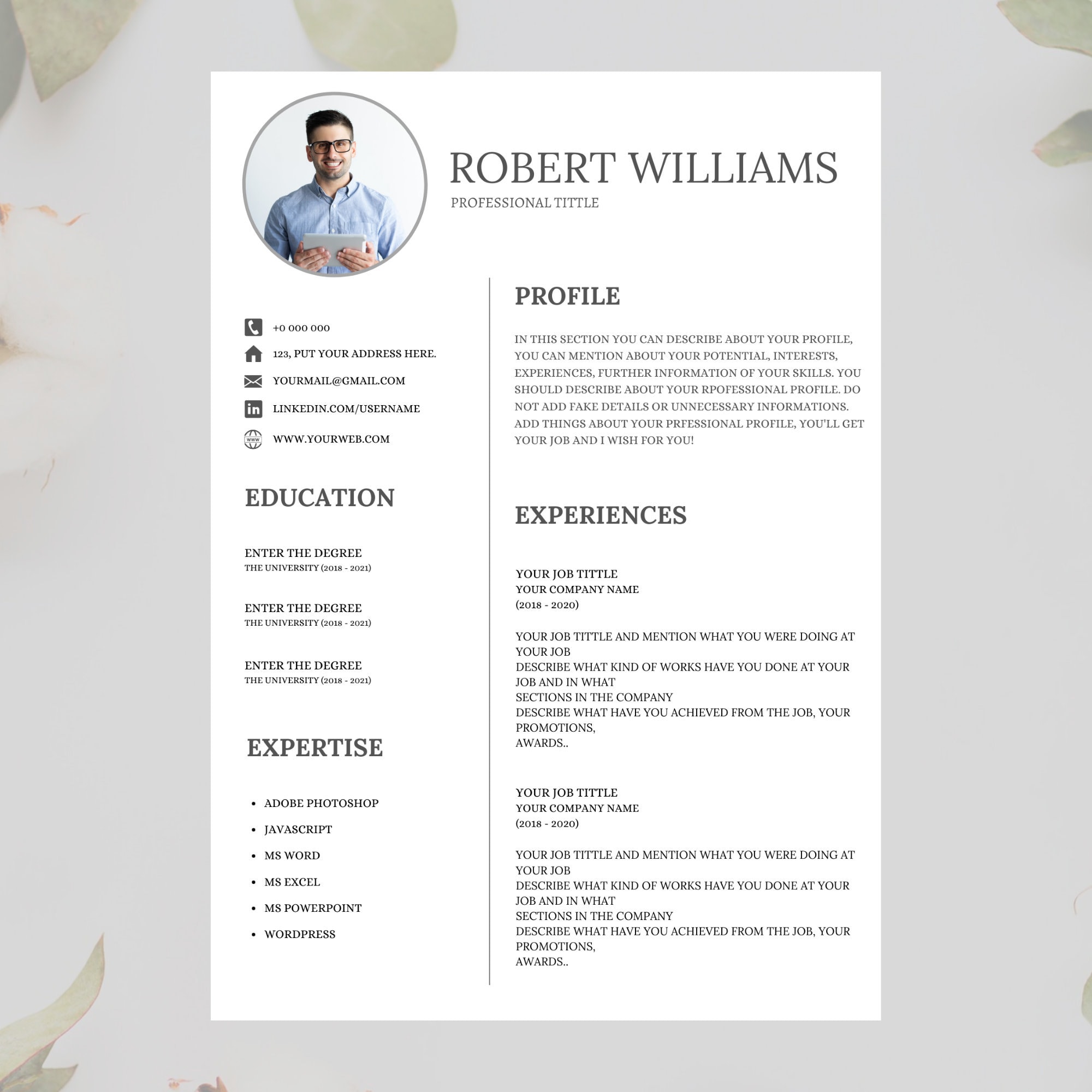 Plantillas cv canva