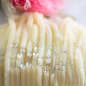 Könnte beinhalten: Nahaufnahme einer weißen Perlenborte mit schimmernden Pailletten. Die Borte besteht aus mehreren Strängen weißen Garns mit kleinen, runden Pailletten, die über die gesamte Länge verteilt sind.